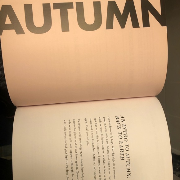 💚 SALE! High Vibrational Beauty Book - Picture 6 of 6